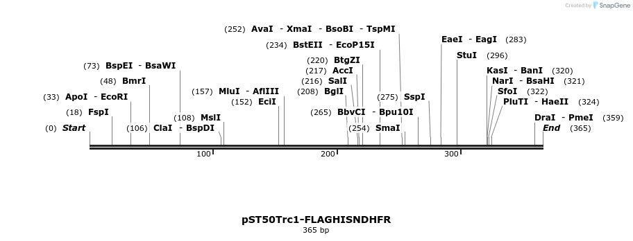 177458_map
