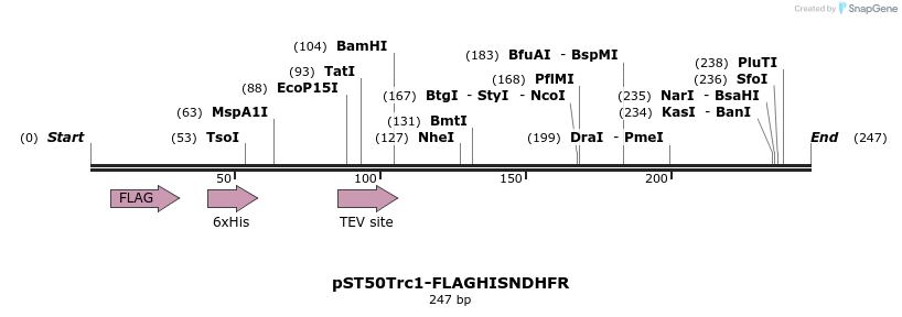 177459_map