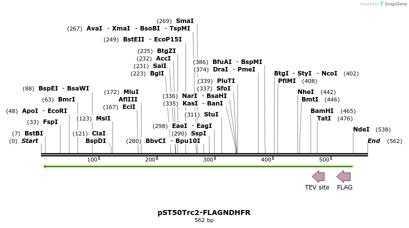 177478_map