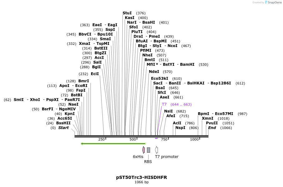 177507_map