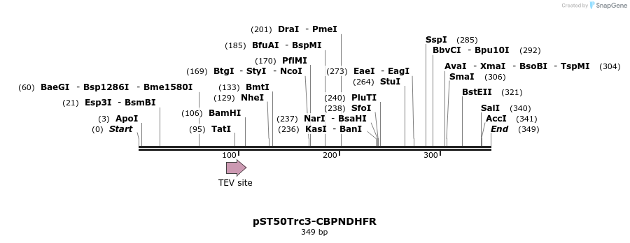 177517_map
