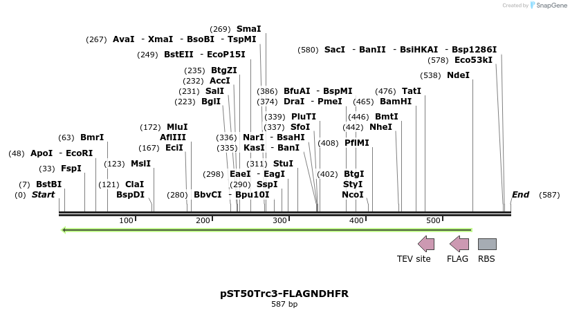 177519_map