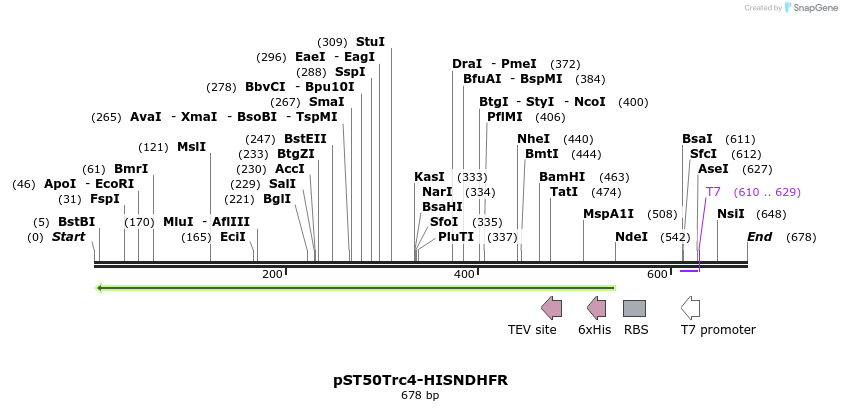 177543_map