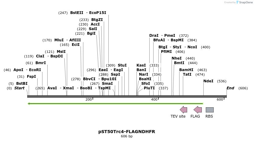 177547_map