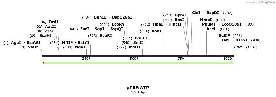 177587_map