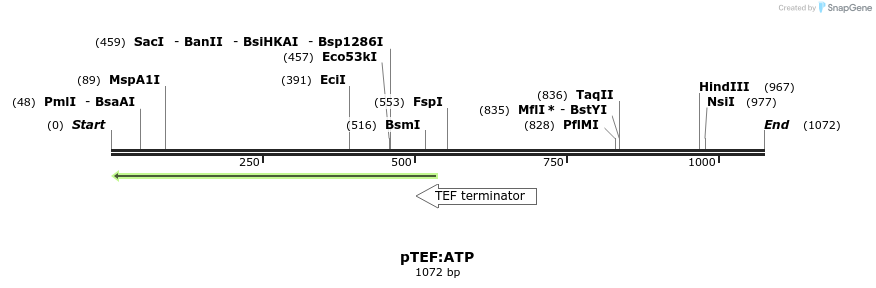 177588_map