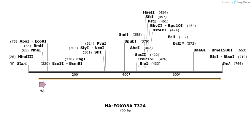 17767_map