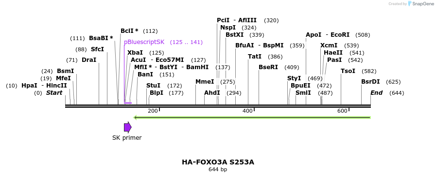 17768_map