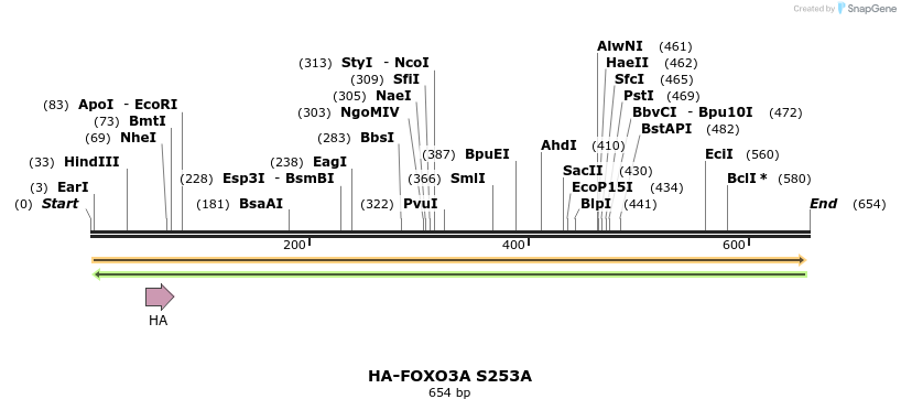 17770_map