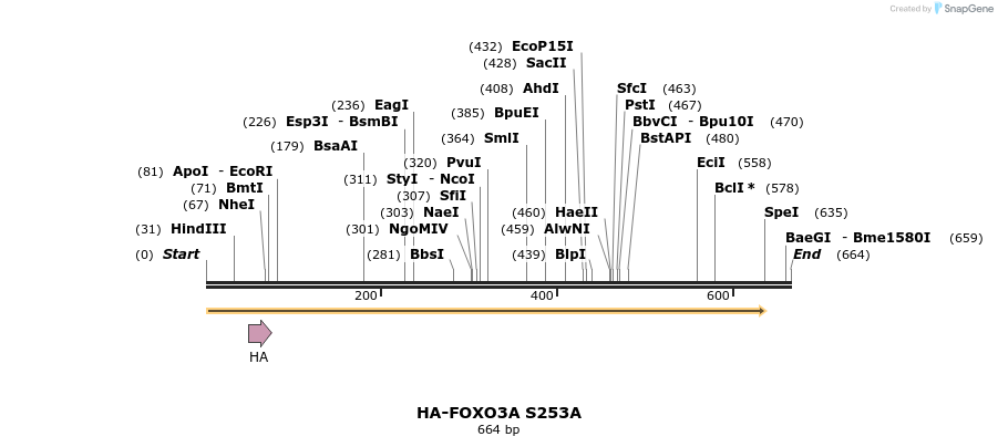 17771_map
