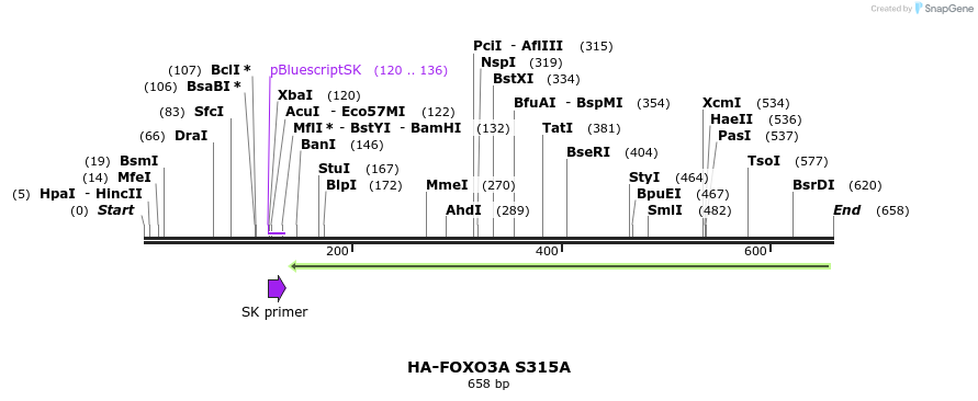 17772_map