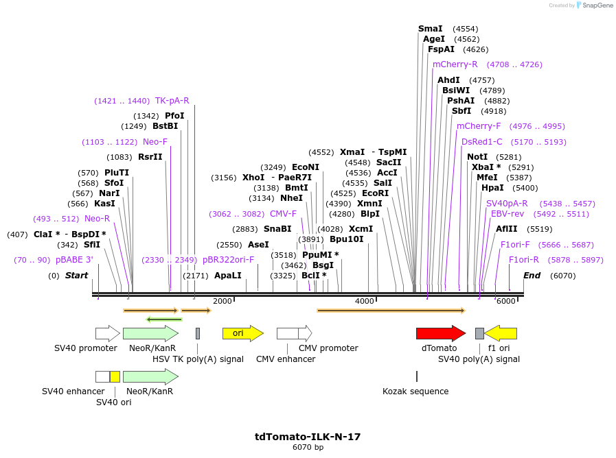 177758_map