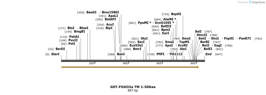 17777_map