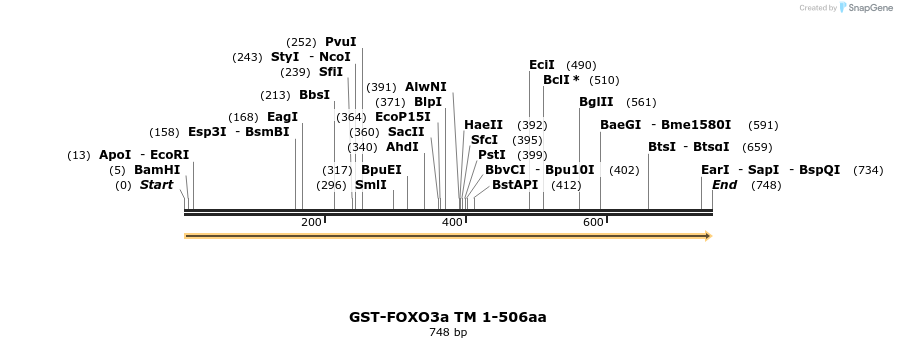 17778_map