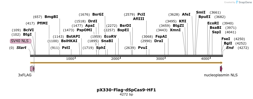177902_map