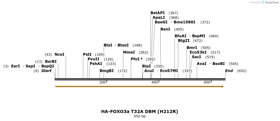 17792_map