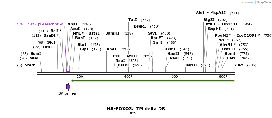 17795_map