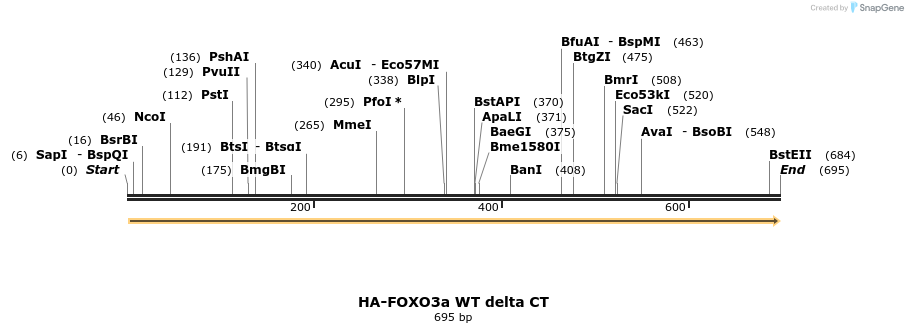 17797_map