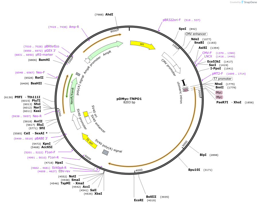 178002_map