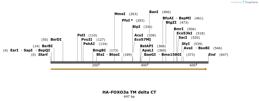 17802_map