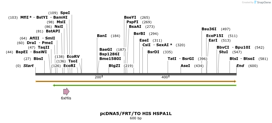 178027_map