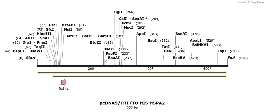 178034_map