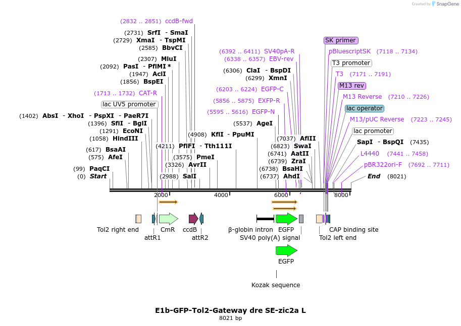 178070_map