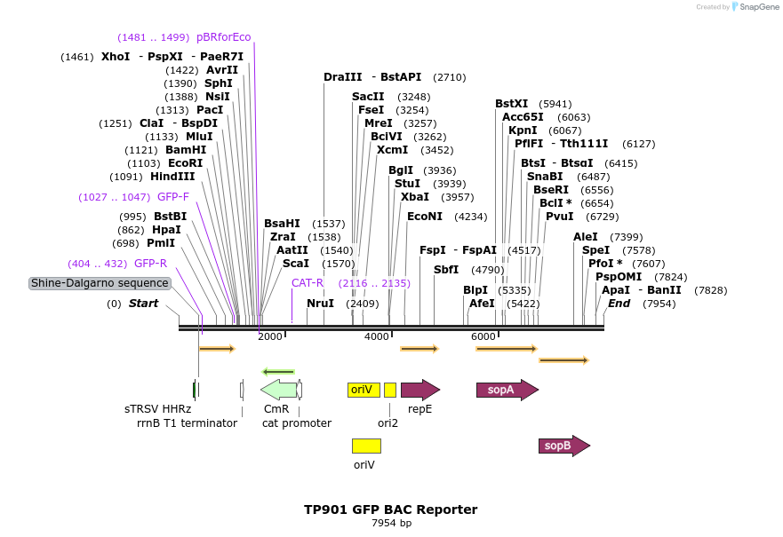 178109_map