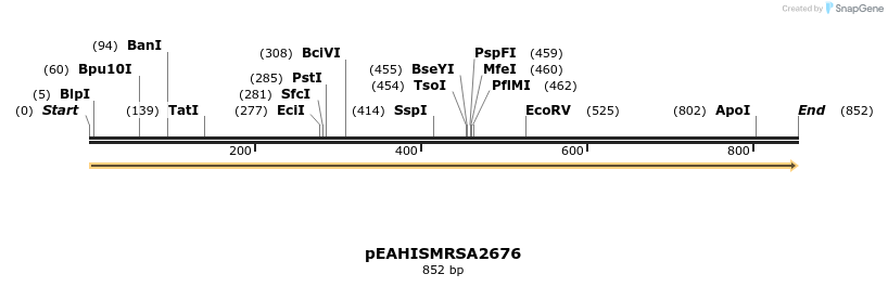 178529_map