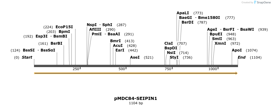 178542_map