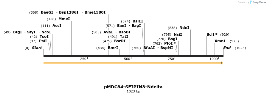 178544_map