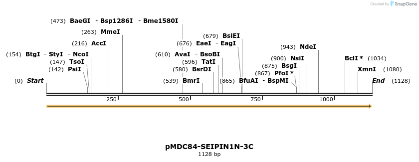 178545_map