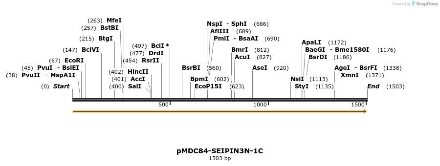 178546_map