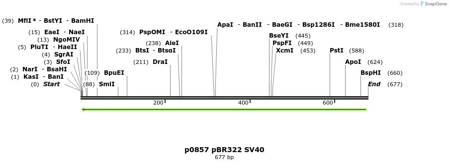 17858_map