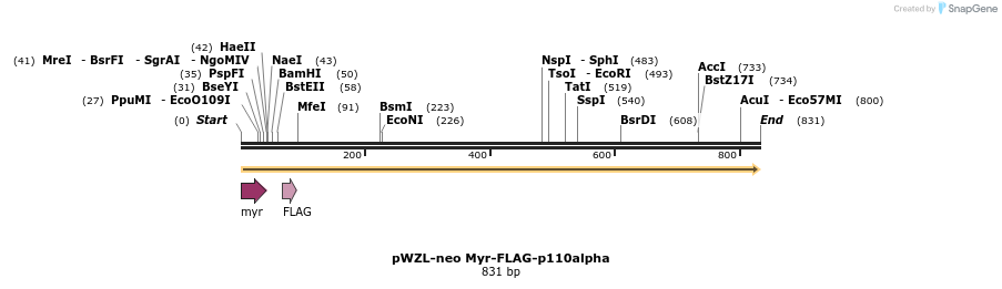 17870_map