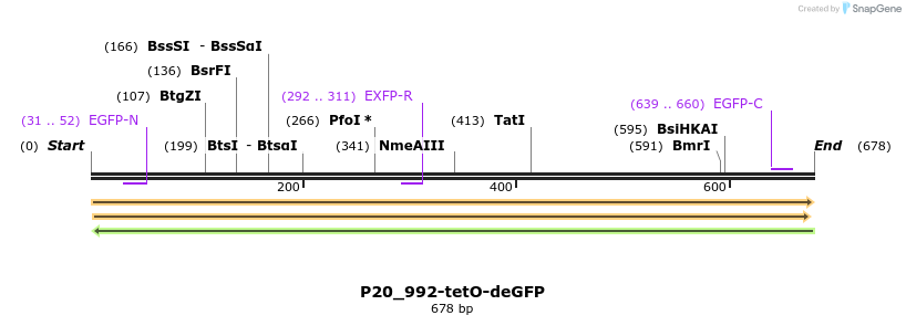178739_map