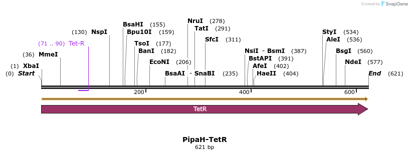 178747_map