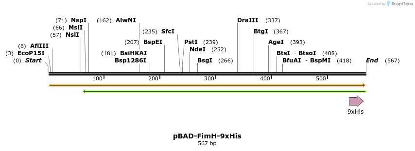 178897_map