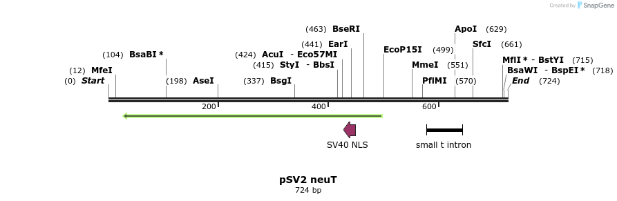 17891_map