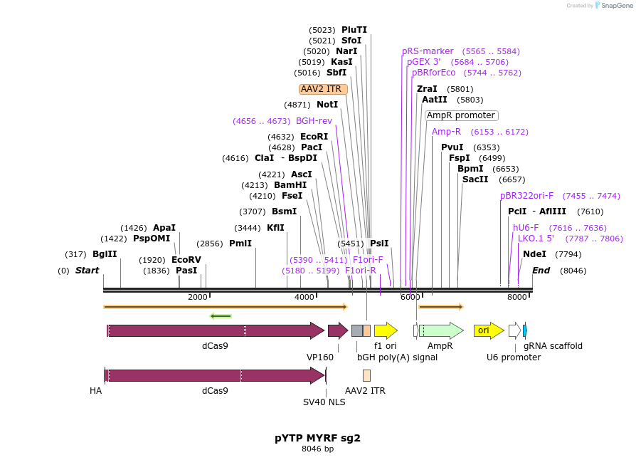 179041_map