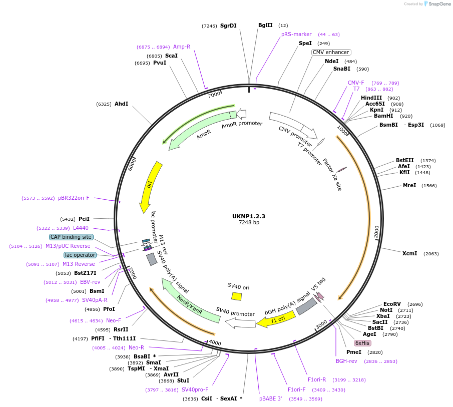 179045_map