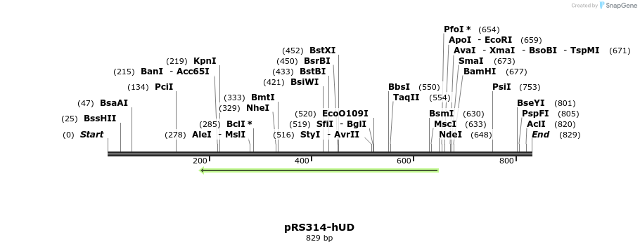 17966_map