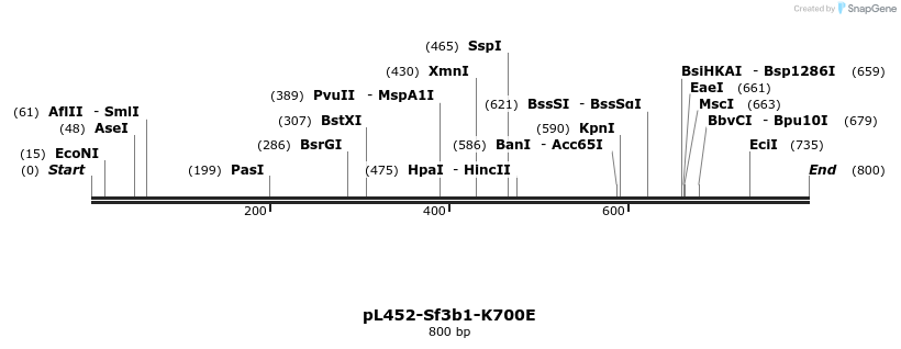 179838_map