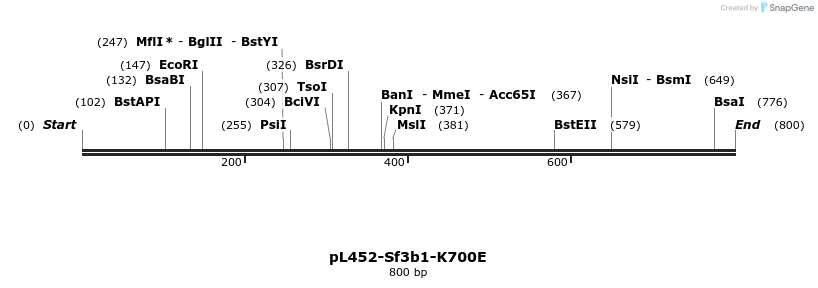 179839_map