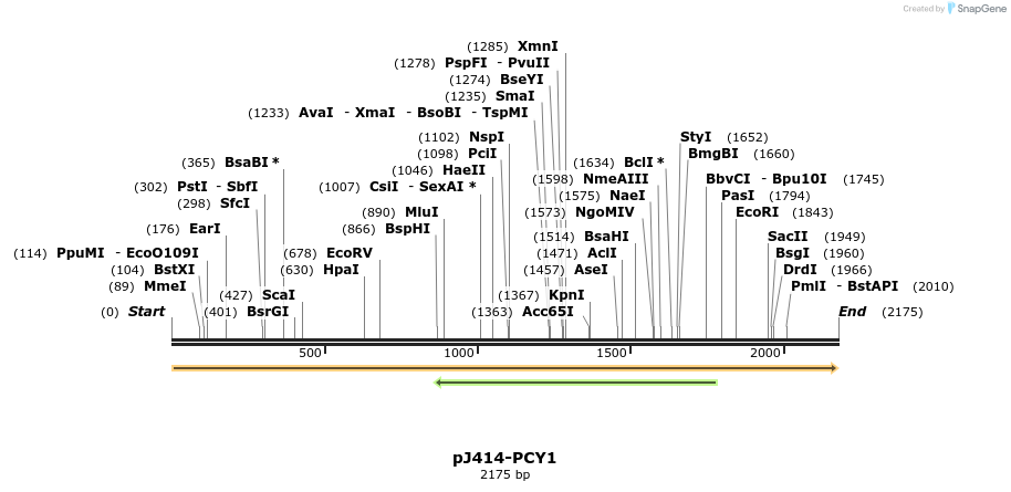 179899_map
