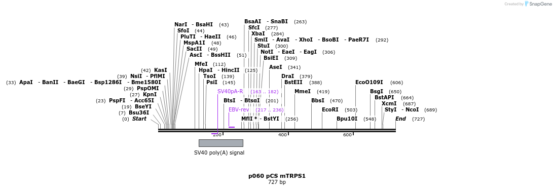 18001_map
