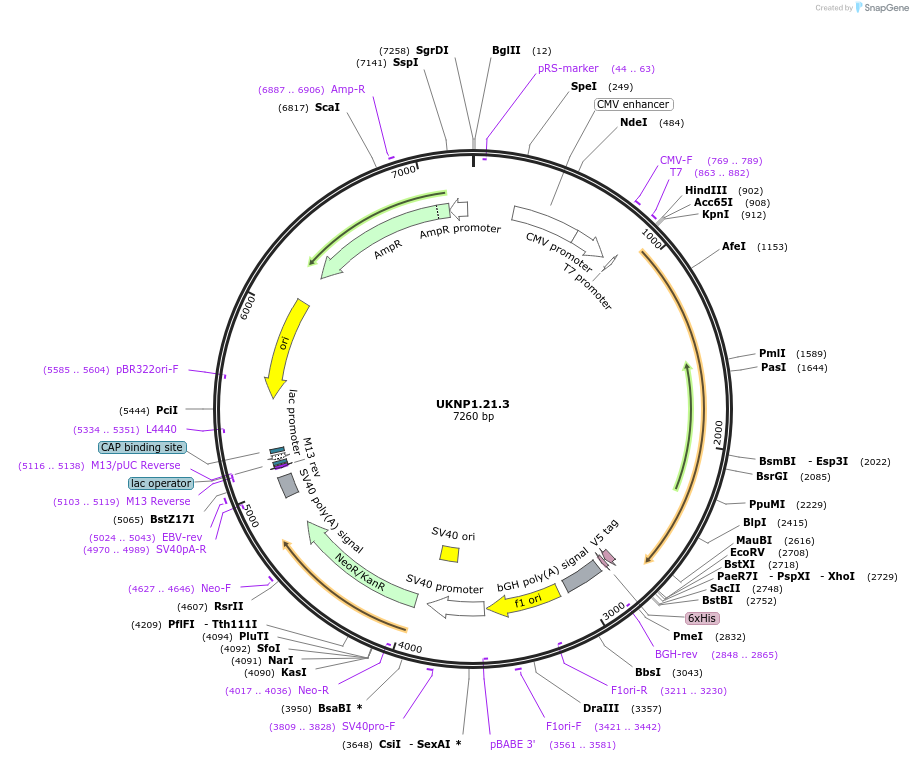 180012_map