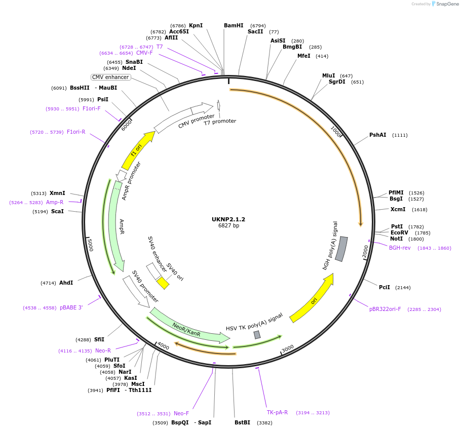 180019_map
