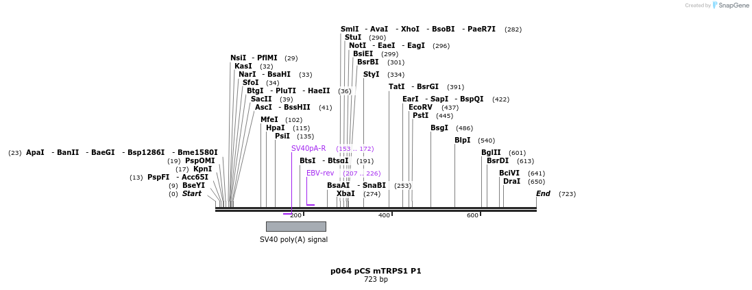 18002_map