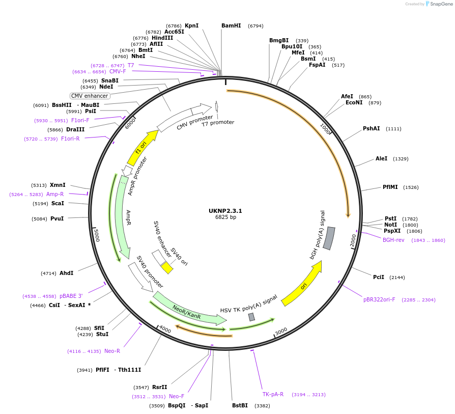 180022_map
